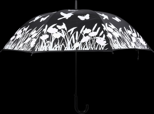 Paraguas Magico Pajaros que Cambian de Color